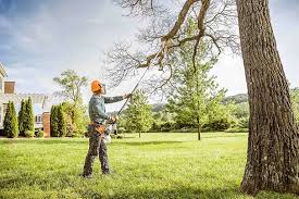 Best Lawn Renovation and Restoration  in Chappaqua, NY