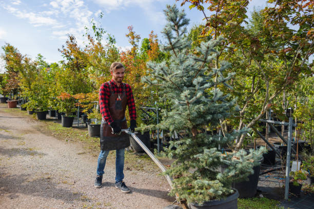 Chappaqua, NY Tree Services Company